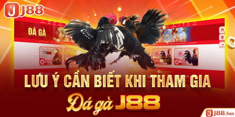 Đá Gà J88 - Nơi Bùng Nổ Đam Mê Cá Cược Của Các Kê Thủ