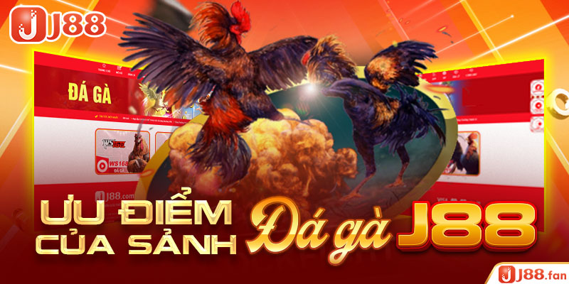 Đá Gà J88 - Nơi Bùng Nổ Đam Mê Cá Cược Của Các Kê Thủ
