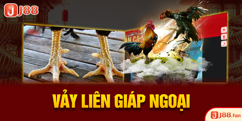 23 Vảy Gà Xấu Khiến Nhiều Kê Thủ Phải Lắc Đầu Bỏ Qua