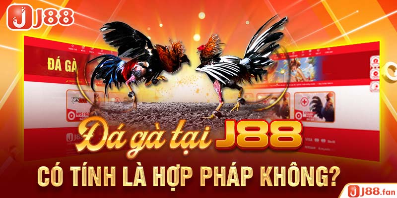Đá Gà J88 - Nơi Bùng Nổ Đam Mê Cá Cược Của Các Kê Thủ