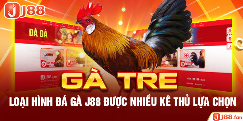 Đá Gà J88 - Nơi Bùng Nổ Đam Mê Cá Cược Của Các Kê Thủ