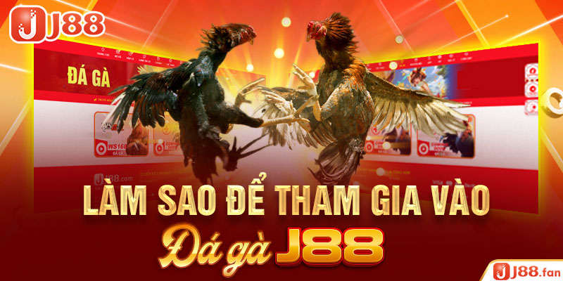 Đá Gà J88 - Nơi Bùng Nổ Đam Mê Cá Cược Của Các Kê Thủ