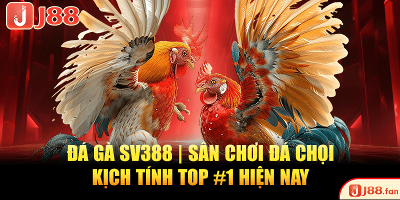 Đá Gà SV388 | Sân Chơi Đá Chọi Kịch Tính TOP #1 Hiện Nay