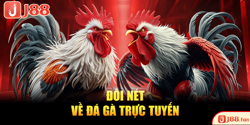 Đá Gà Trực Tuyến - Sôi Động, Kịch Tính Từng Khoảnh Khắc