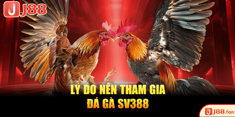 Đá Gà SV388 | Sân Chơi Đá Chọi Kịch Tính TOP #1 Hiện Nay