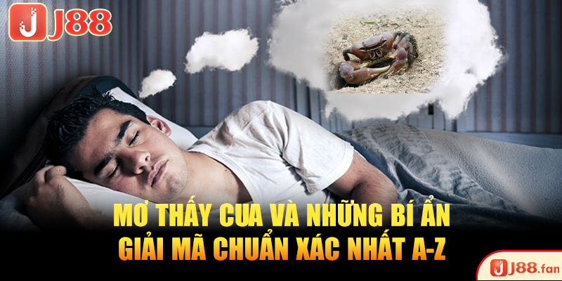 Mơ Thấy Cua Và Những Bí Ẩn Giải Mã Chuẩn Xác Nhất A-Z Mơ Thấy Cua Và Những Bí Ẩn Giải Mã Chuẩn Xác Nhất A-Z