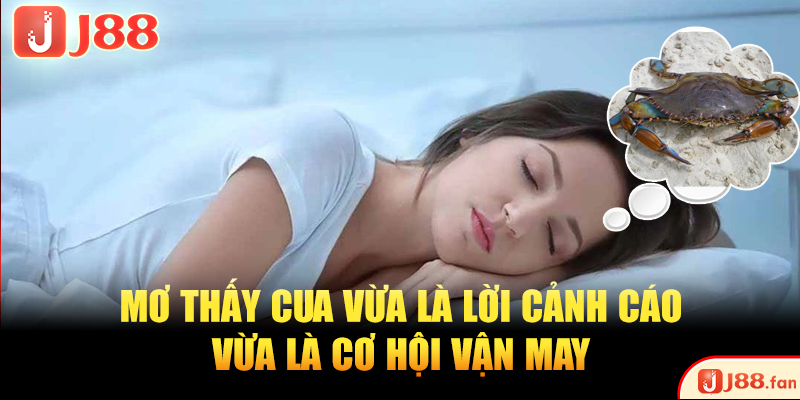 Mơ Thấy Cua Và Những Bí Ẩn Giải Mã Chuẩn Xác Nhất A-Z Mơ Thấy Cua Và Những Bí Ẩn Giải Mã Chuẩn Xác Nhất A-Z