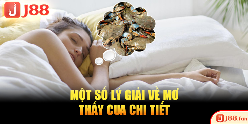Mơ Thấy Cua Và Những Bí Ẩn Giải Mã Chuẩn Xác Nhất A-Z Mơ Thấy Cua Và Những Bí Ẩn Giải Mã Chuẩn Xác Nhất A-Z