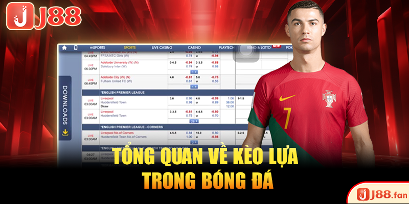 Kèo Lựa Bóng Đá - 03 Tuyệt Chiêu Ăn Kèo Của Dân Chuyên Kèo Lựa Bóng Đá - 03 Tuyệt Chiêu Ăn Kèo Của Dân Chuyên