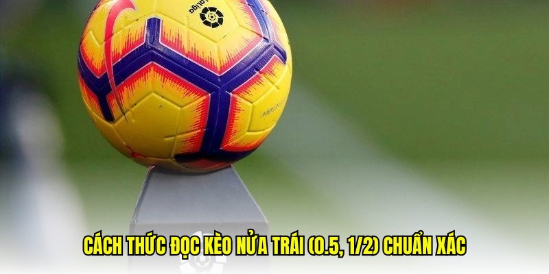 Kèo ½ - RS88 Hướng Dẫn Cách Đọc Chuẩn Xác Cho Tân Thủ