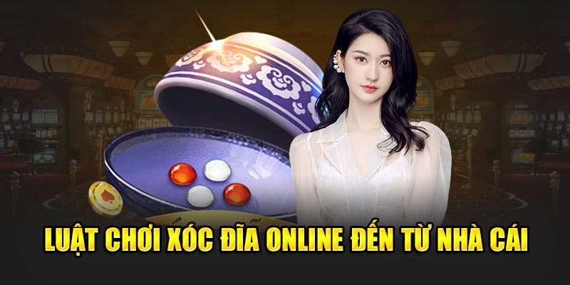 Xóc Đĩa Bịp Là Gì? Toàn Bộ Thông Tin Về Hành Động Gian Lận